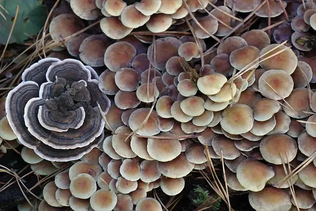 5 najnowszych gadżetów, które ułatwią Twoje codzienne życie